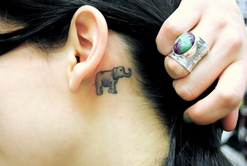 Egy kis elefánt tetoválás a fül mögött