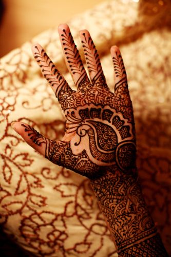 Påfugl indisk Mehndi