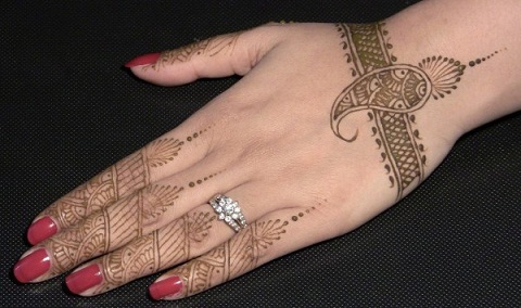 Mango Mehndi Designs for Hands