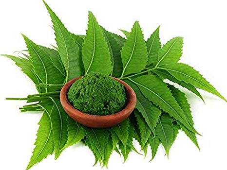 neem hjemmemedicin mod lus