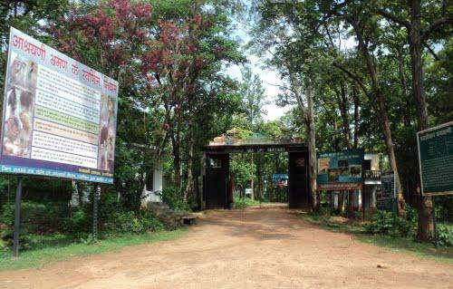 parkok-in-bihar-hazaribagh-vadvilág-szentély