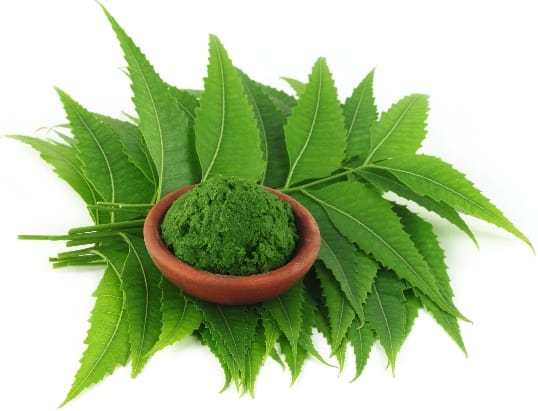 Neem Leaves Pack