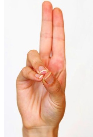 Prána mudra