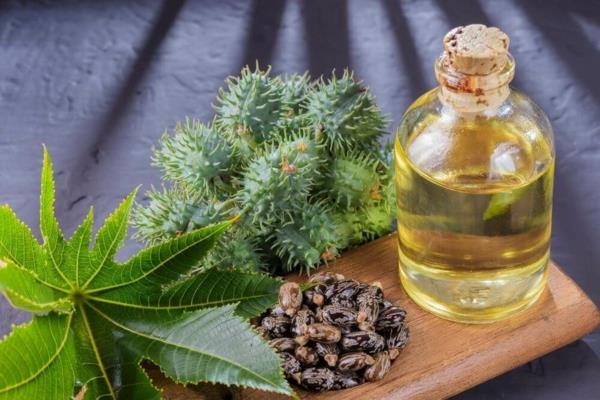 7 risiiniöljyn hyötyä iholle ja hiuskasvien siemenille