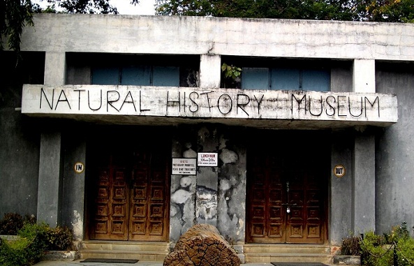 Naturhistoriske berømte museer i Hyderabad