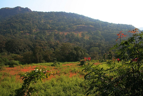 Mollem Nemzeti Park Goa