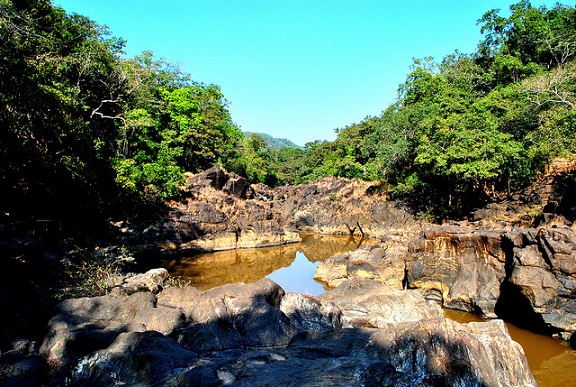 Netravali Wildlife Sanctuary Park, Goa