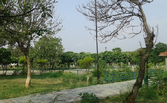 parker-i-lucknow-jyotiba-phule-zonal-park