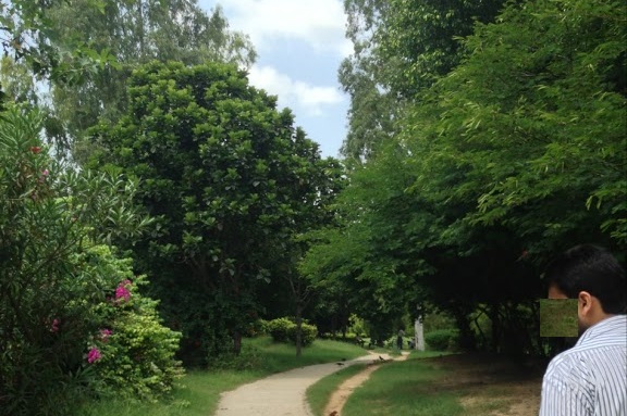 parkok-in-ludhiana-szabadidő-völgy-park