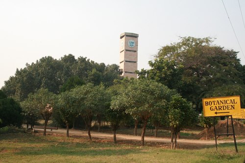 parks-in-ludhiana-botanical-garden-at-pau