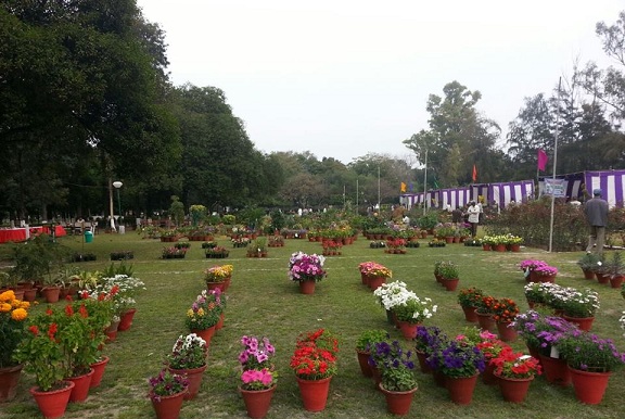 parkok Ludhianában