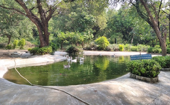 parker-i-ahmedabad-indroda-naturpark