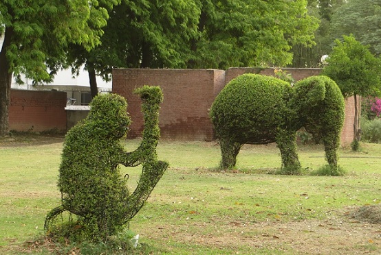 parker-i-chandigarh-topiary-park