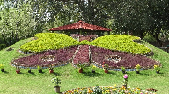 parker-i-chandigarh-sommerfugl-park