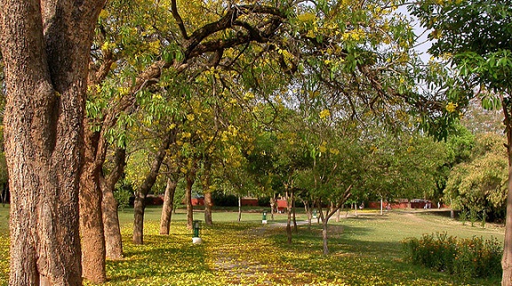 parker-i-chandigarh-fitness-trail-park