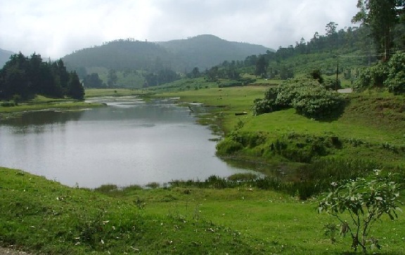 parker-i-coimbatore-nilgiri-biosfæren-naturpark