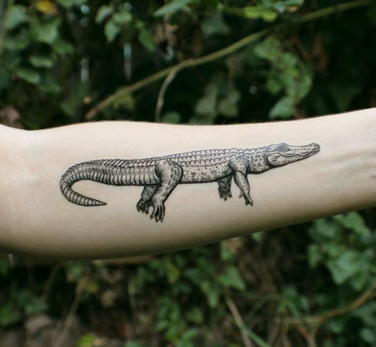 Alligator Tattoo Designs 7
