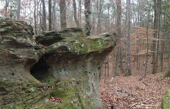 Tuskegee National Forest, Alabama