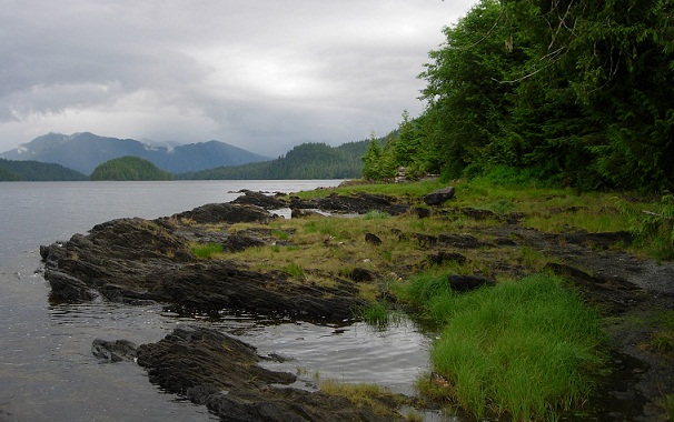 Berømt skovcampingplads-Tongass National Forest, Alaska