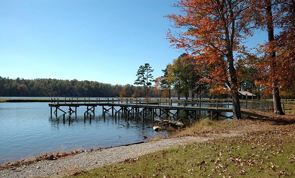 Berømt skovcampingplads-Tombigee National Forest, Mississippi