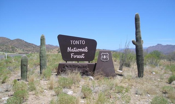 Berømt Forest Camping Grounds-Tonto National Forest, Arizona