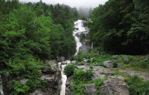 Berømte skovcampingpladser-hvide bjerge i Maine og New Hampshire
