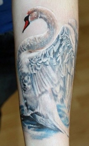 Hvid Swan Arm Tattoo Design