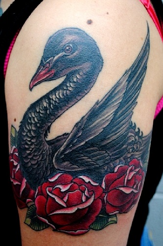 Sort svane med tatoveringsdesign med røde roser