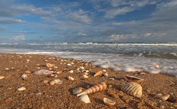 beach-in-odisha_balighai-beach