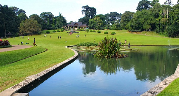 bogor botaniske haver turiststeder i Indonesien