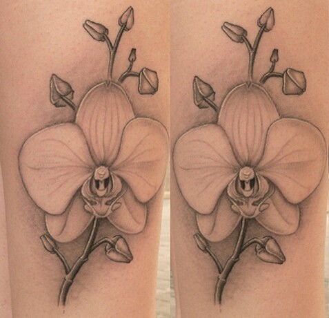 Ceruza típusú orchidea tetoválás