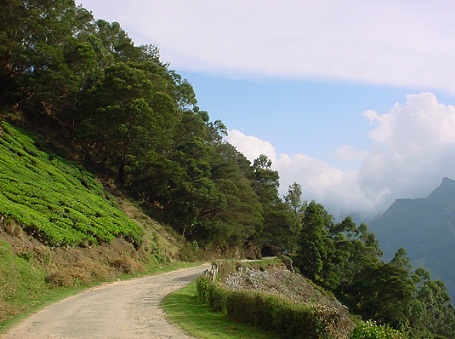 Bryllupsrejse steder i Assam9