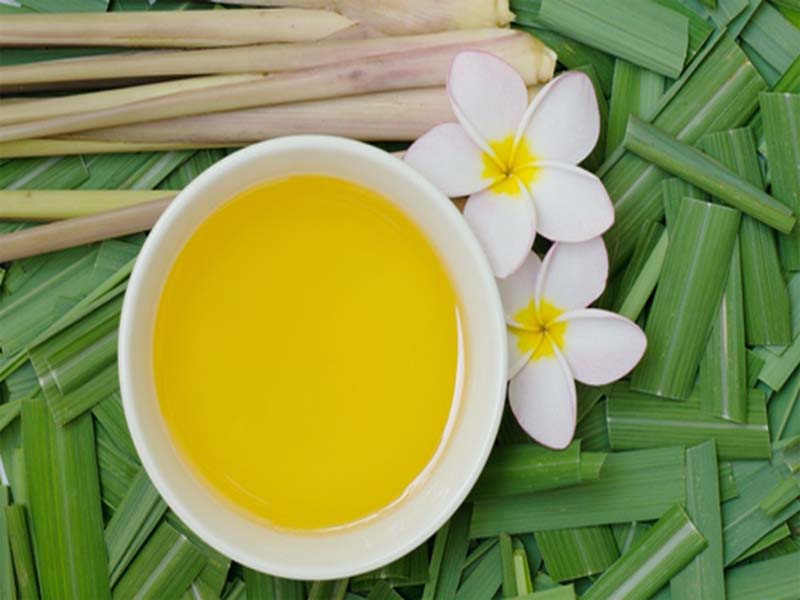 Citronella Oil fordele