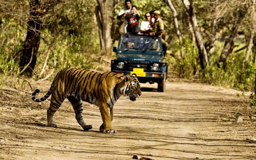 Corbett Nemzeti Park