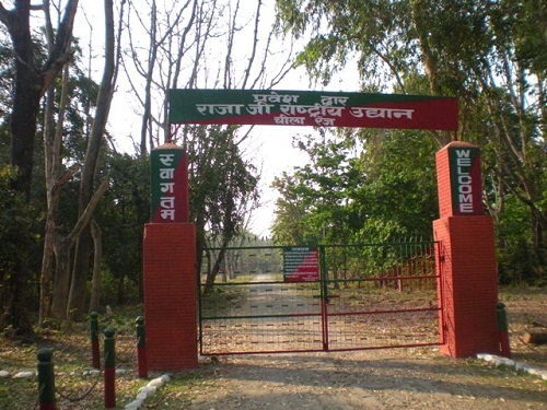 Rajaji Nemzeti Park