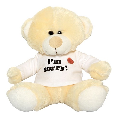 Teddy Bear Sajnálom Ajándékok