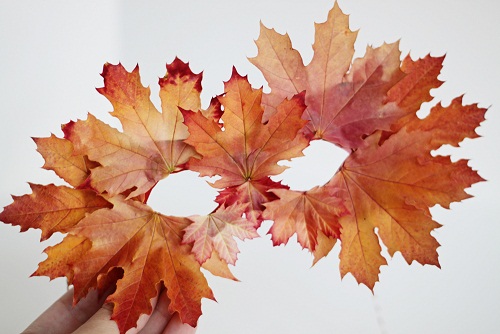 Leaf Mask Craft