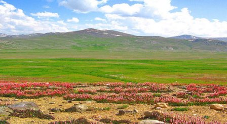 Kishtwar Nemzeti Park