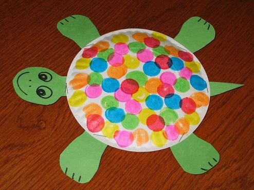 Plate Turtle