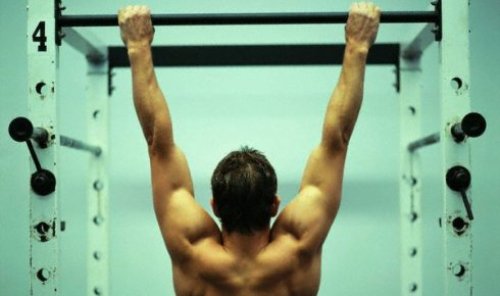 pull ups øvelser