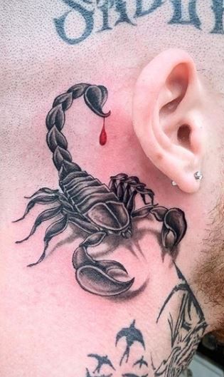 Bedste Scorpio Tattoo Designs og betydninger 2