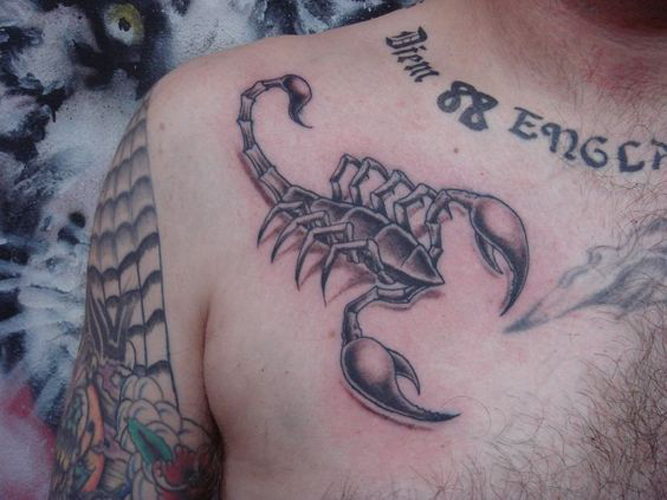 Bedste Scorpio Tattoo Designs og betydninger 8