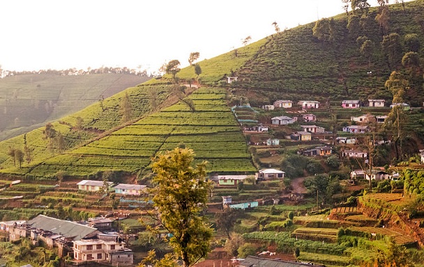 nuwara eliya gyönyörű helyek Srí Lanka meglátogatásához