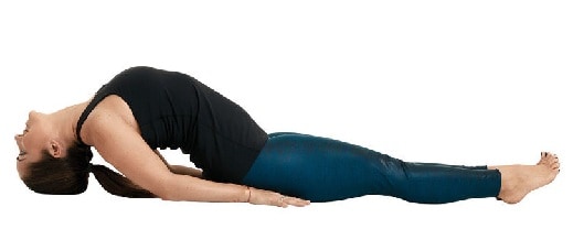 Matsyasana / Fish Pose