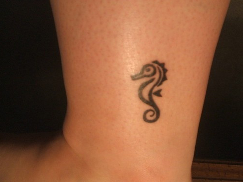 Seahorse Tattoos Betydning, designs og ideer