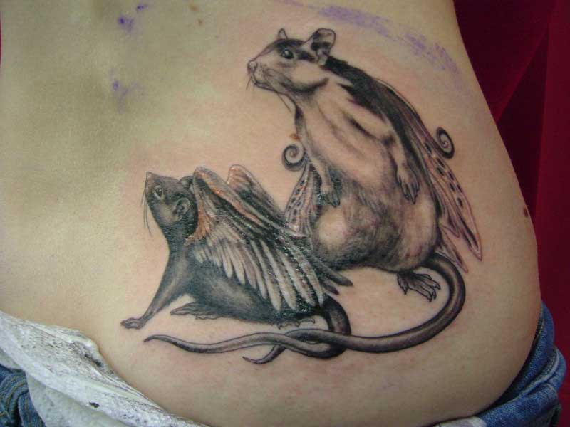 Distinct Rat Tattoo Designs
