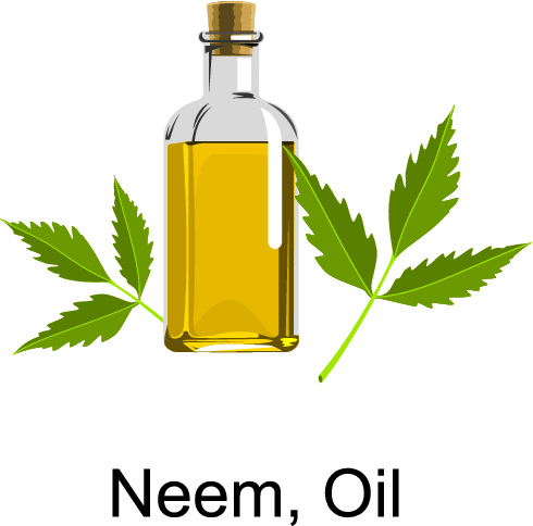 neem olie