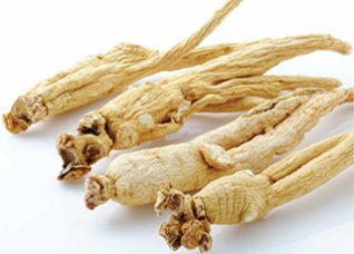 Asiatisk Ginseng