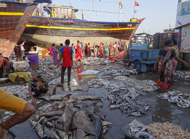 vanakbara_diu-turist-steder