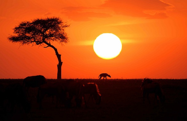 masai-mara-sunset_kenya-tourist-places